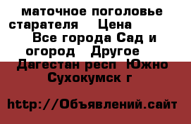 маточное поголовье старателя  › Цена ­ 3 700 - Все города Сад и огород » Другое   . Дагестан респ.,Южно-Сухокумск г.